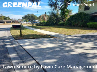 Grass Cutting nearby Brandon, FL, 