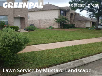 Yard Cutting nearby Tomball, TX, 