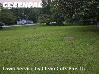 Grass Cut nearby Ellenwood, GA, 