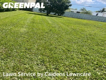 Grass Cut nearby Miami, FL, 