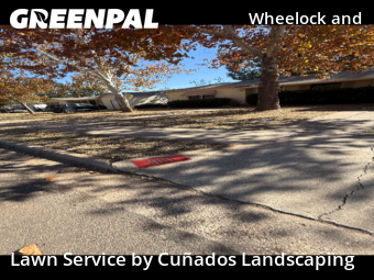 Landscaping In Lubbock,79413,Landscaping Services by Cuñados Landscaping, work completed in Nov , 2025