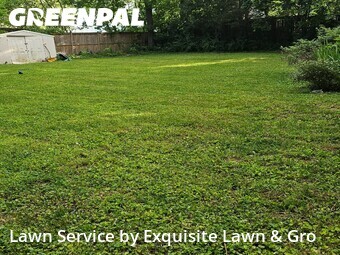 Grass Cut nearby Falls Church, DC, 