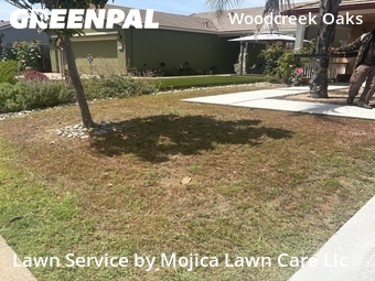 Lawn mowed in Roseville, 95747