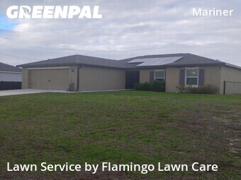 Grass Cut nearby Cape Coral, FL, 