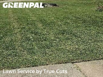 Yard Mowing nearby Del City, OK, 