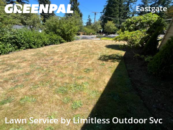 Grass Cutting nearby Bellevue, WA, 
