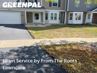 Lawn Maintenance nearby Carol Stream, IL, 