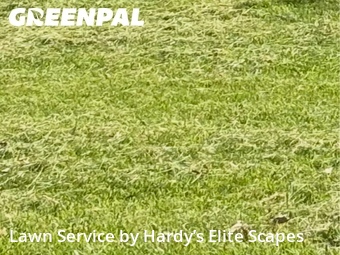 Lawn Cutting nearby Hendersonville, TN, 