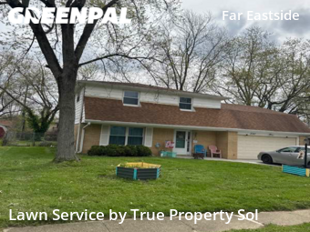 Grass Cut nearby Indianapolis, IN, 