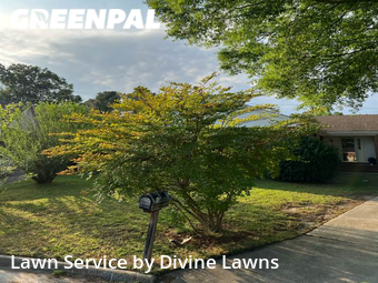 Lawn Care nearby Virginia Beach, VA, 