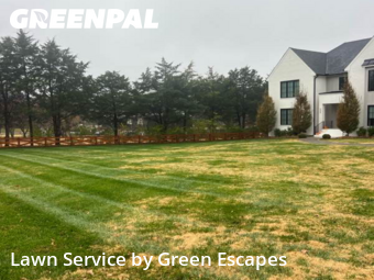 Yard Cuttingin Brentwood,37027,Yard Cutting by Green Escapes, work completed in Jan , 2026