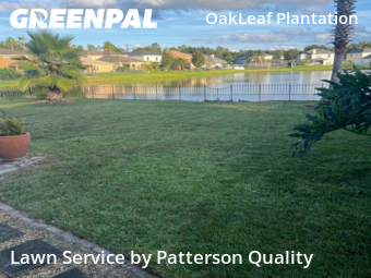 Lawn Cut nearby Orange Park, FL, 
