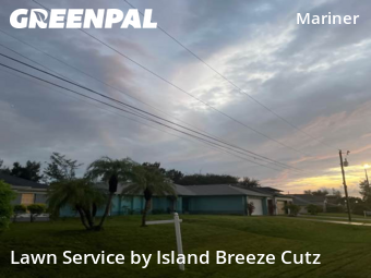 Lawn Mow nearby Cape Coral, FL, 