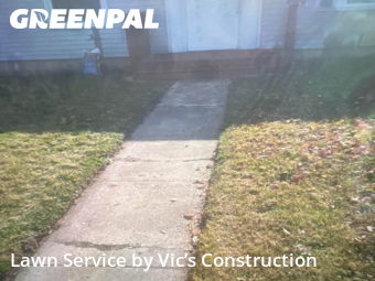 Grass Cut nearby Romeoville, IL, 