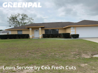 Grass Cut nearby Ocala, FL, 