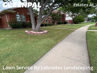 Grass Cutting nearby Plano, TX, 