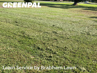 Lawn Service nearby Gonzales, LA, 