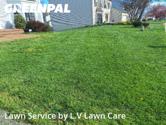 Grass Cut nearby Woodbridge, VA, 