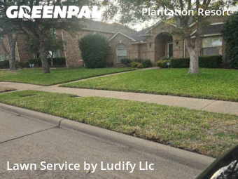 Grass Cut nearby Frisco, TX, 