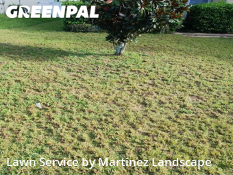 Yard Mowing nearby Lady Lake, FL, 