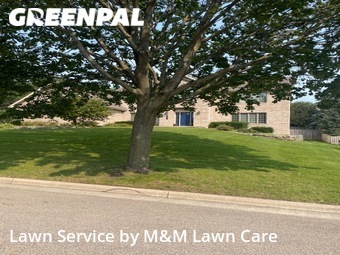 Grass Cut nearby Madison, WI, 