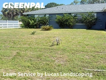 Grass Cutting nearby Palm Bay, FL, 
