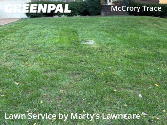 Lawn Care Service nearby Nashville, TN, 