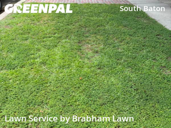 Lawn Mow nearby Baton Rouge, LA, 