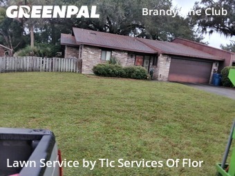Grass Cut nearby De Land, FL, 