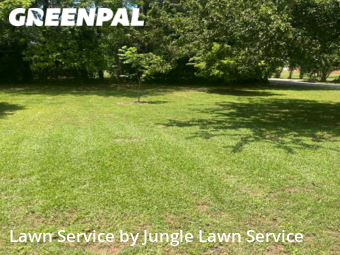 Lawn Mow nearby Athens, GA, 