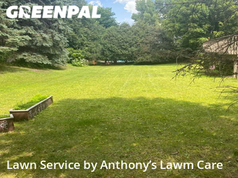 Lawn Maintenance nearby Eden Prairie, MN, 