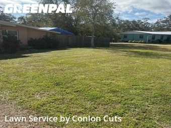 Grass Cut nearby Bradenton, FL, 