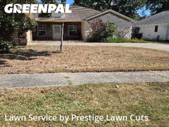 Lawn Maintenance nearby Spring, TX, 