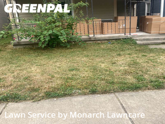 Yard Cutting nearby Indianapolis, IN, 