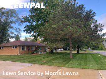 Lawn Mowing Service nearby Toledo, OH, 