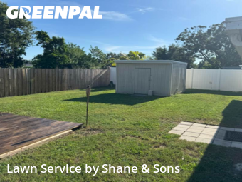 Grass Cut nearby Seminole, FL, 