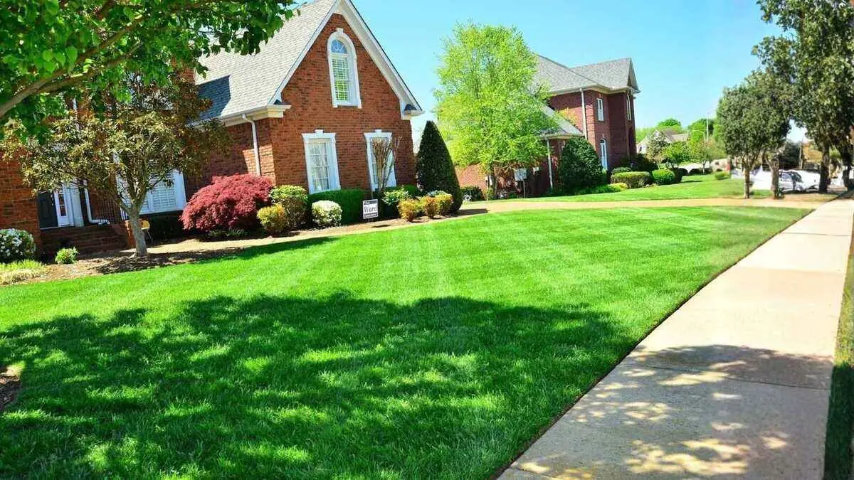How can I compare lawn care prices across multiple providers easily? By Greenpal