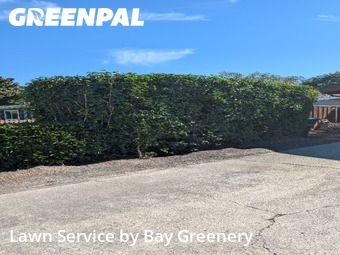 Work completed by affordable-lawn-services-in-Sunnyvale-CA