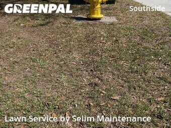 Yard Cutting nearby Jacksonville, FL, 