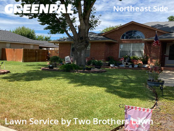 Lawn Care Service nearby Converse, TX, 
