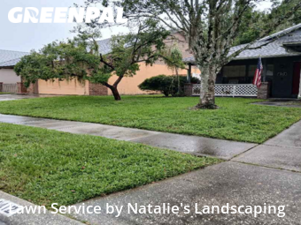 Yard Cutting nearby Winter Park, FL, 
