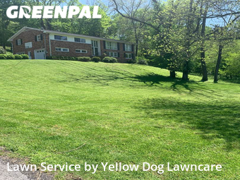 Lawn Mowing nearby Nashville Davidson, TN, 