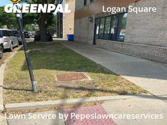 Grass Cutting nearby Chicago, IL, 