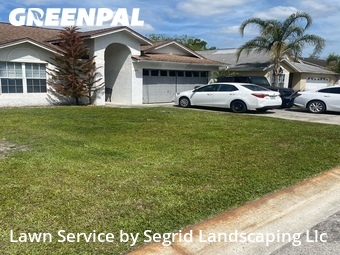 Grass Cut nearby Lakeland, FL, 