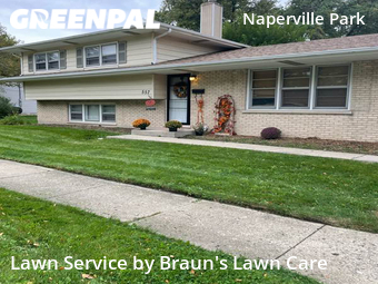 Lawn Maintenance nearby Naperville, IL, 