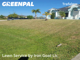 Yard Mowing nearby Cape Coral, FL, 