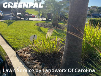 Lawn Mow nearby Myrtle Beach, SC, 