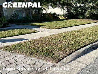 Lawn Cut nearby Tampa, FL, 