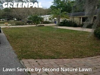 Lawn Service nearby Brandon, FL, 
