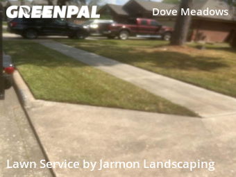 Grass Cut nearby Spring, TX, 